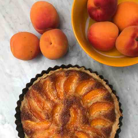 Apricot Tart