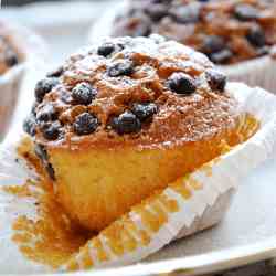 Chocolate Chip Coconut Muffins