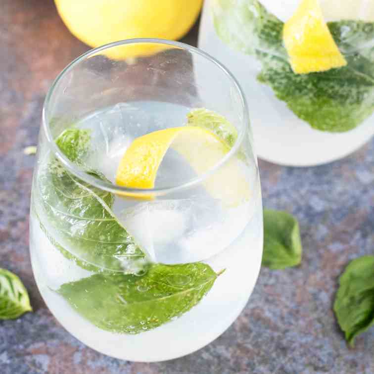 Lemon Basil Gin - Tonic
