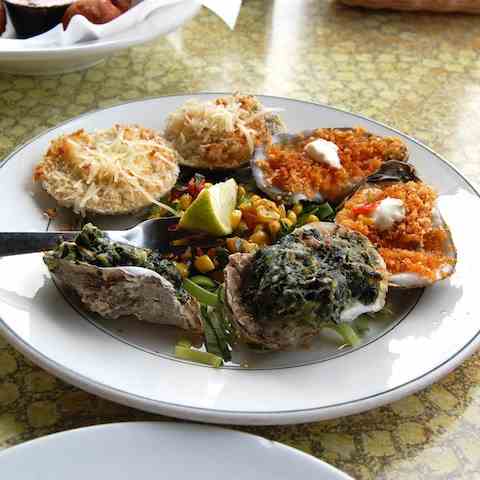 Oysters in Key West