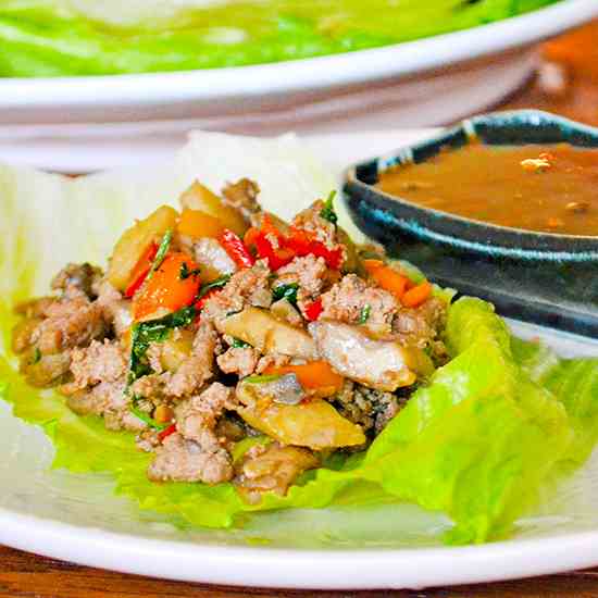 Asian Turkey Lettuce Wraps