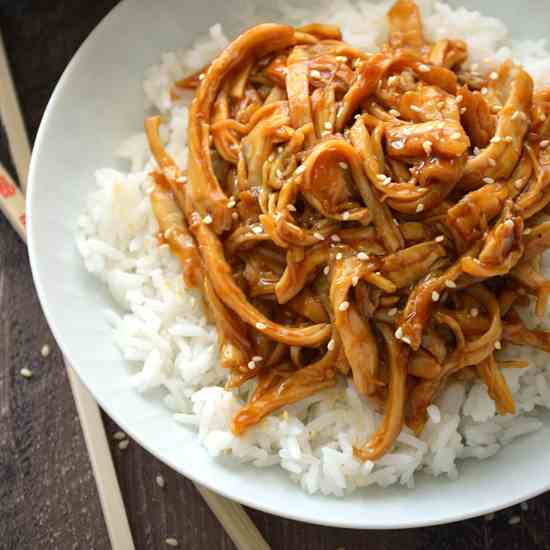 Crock Pot Teriyaki Chicken