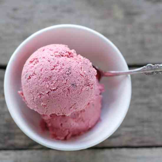 Paleo Raspberry Ice Cream