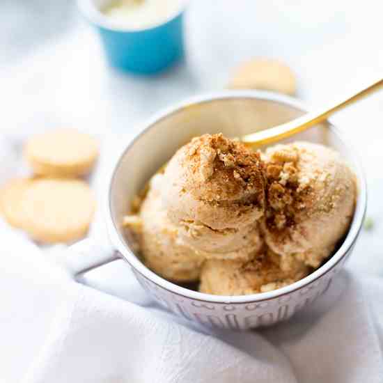 Pumpkin Ice Cream