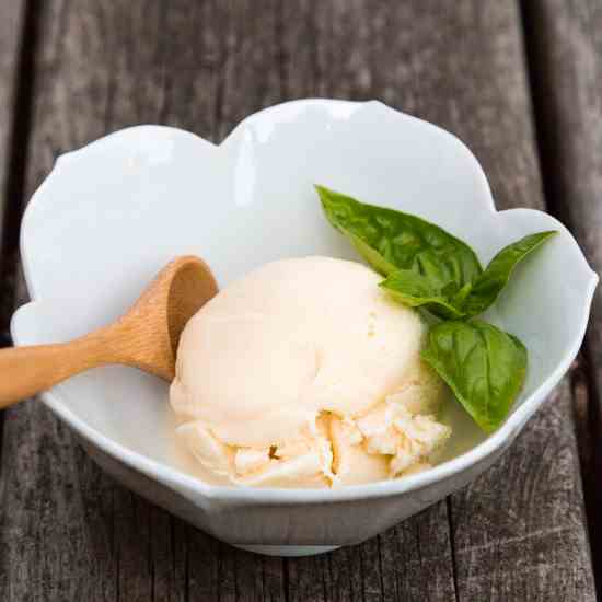 Basil Olive Oil Gelato