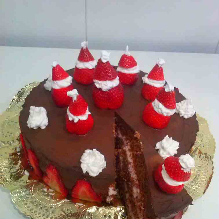 Chocolate and strawberry cake 