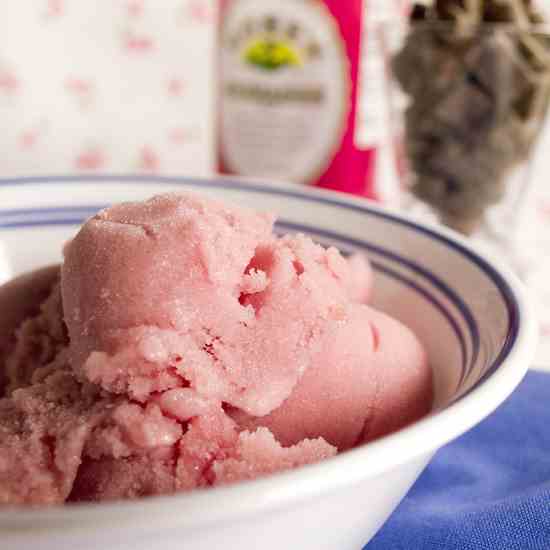 Vegan Cherry Sherbet