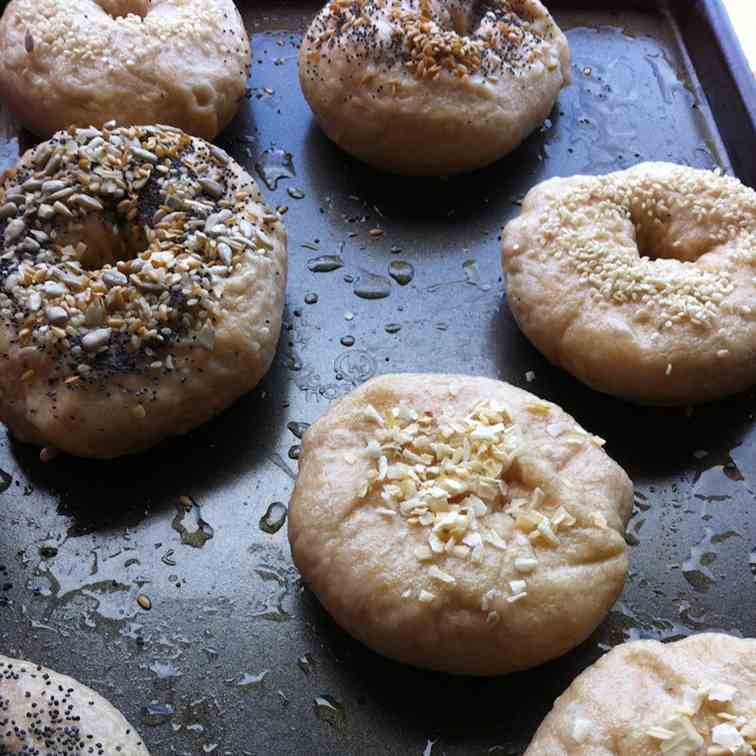 Whole Grain Bagels