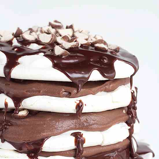 Chocolate Malted Milk Pavlova