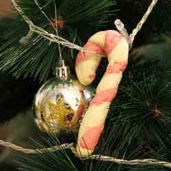 Candy Cane Cookies