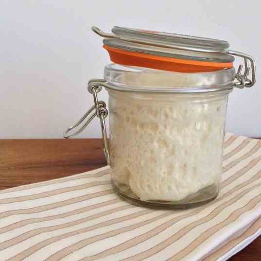 DIY Sourdough Starter