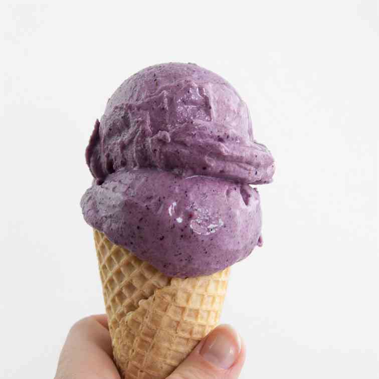 2-Ingredient Blueberry Ice Cream