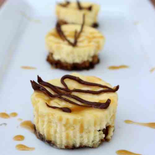 Individual Samoas Cheesecakes