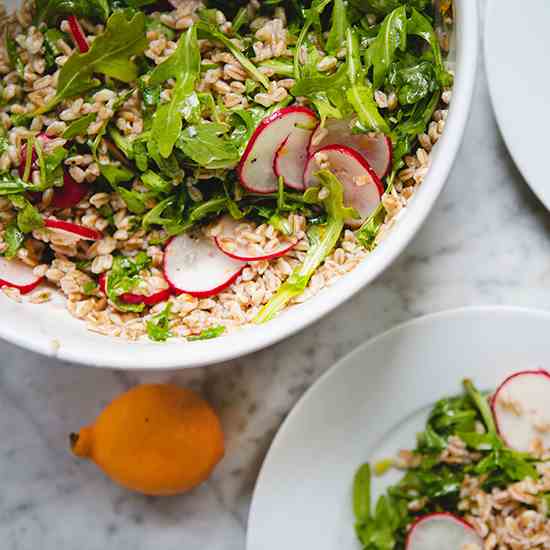 Farro Arugula Salad