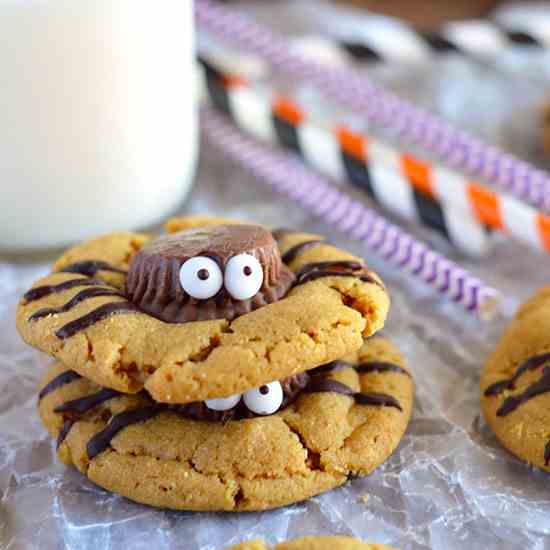 Spider Cookies