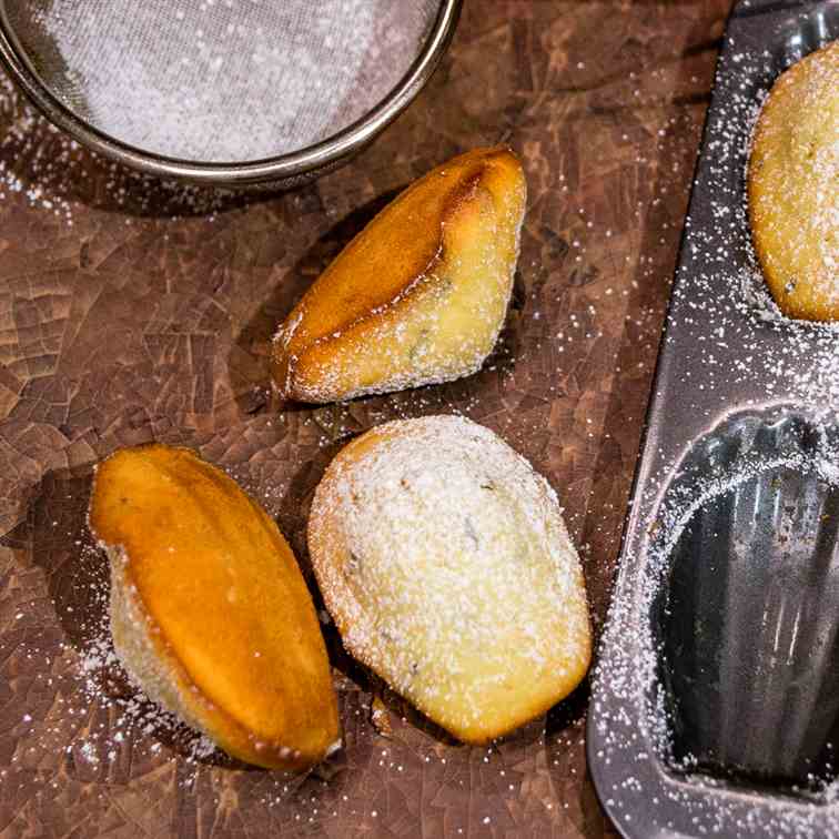 Lemon Lavender Madeleines