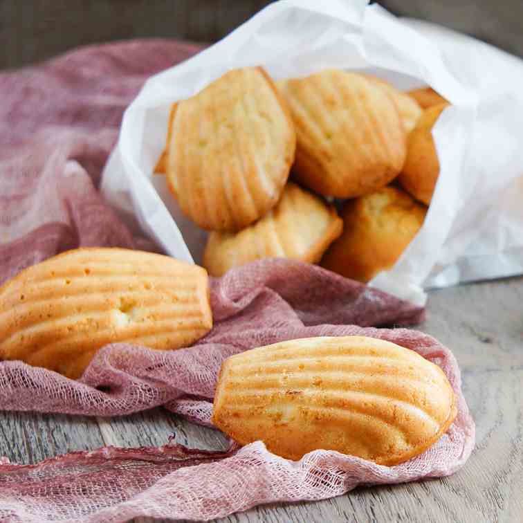 Lavender Madeleines