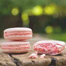 Macaron 10 Commandments