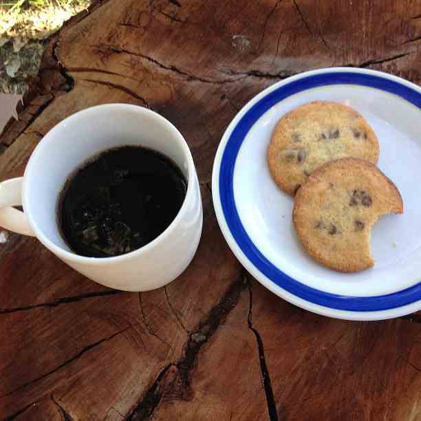 Chocolate chips cookies