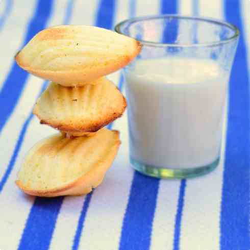 Classic madeleines