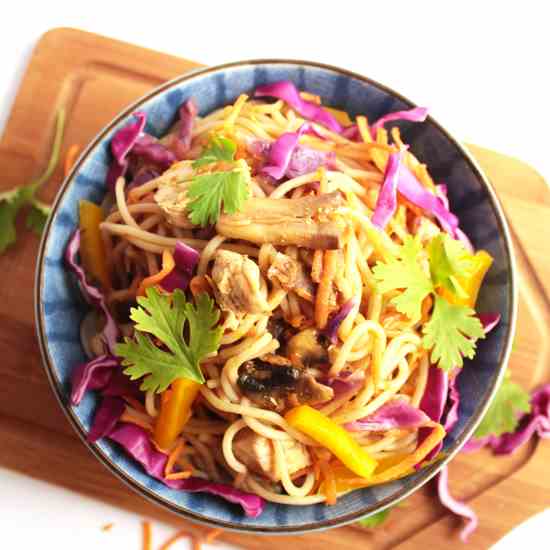 Chicken Chowmein with Rainbow Vegetables