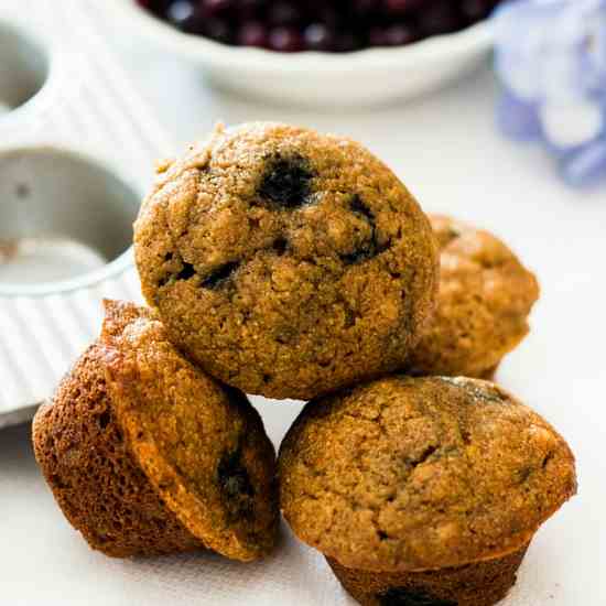 Apple Vanilla and Blueberry Mini Muffins