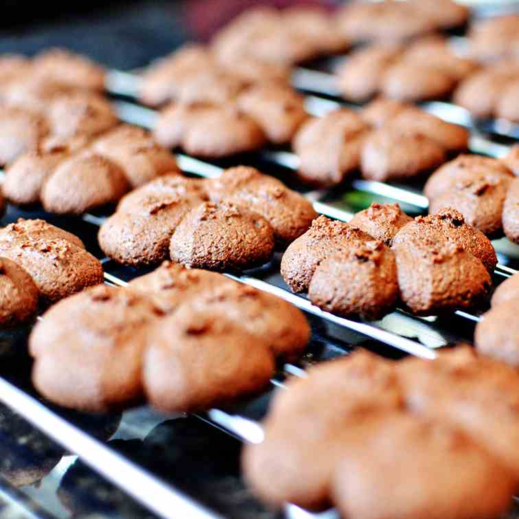 Chocolate Sugar Cookies