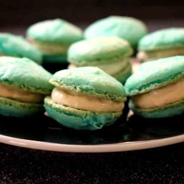 Salmon Macarons