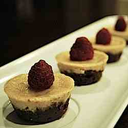 Spiced Cheesecakes with Gingerbread Crust