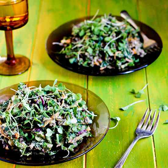 Wild Rice and Kale Salad with Spicy Pesto