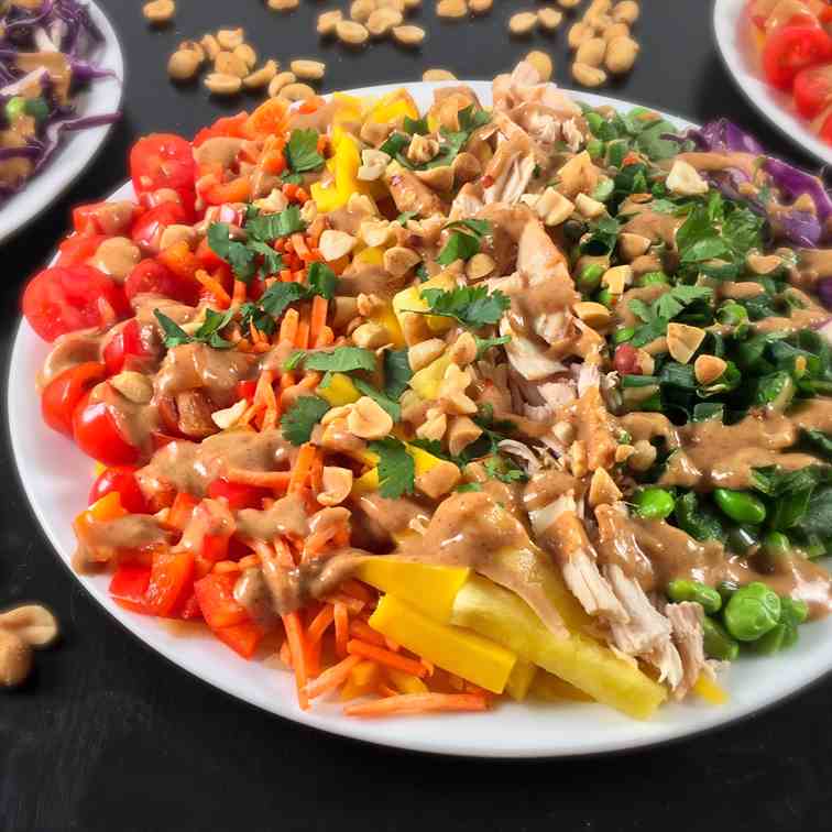 Rainbow Veggies Salad w-Peanut Sauce