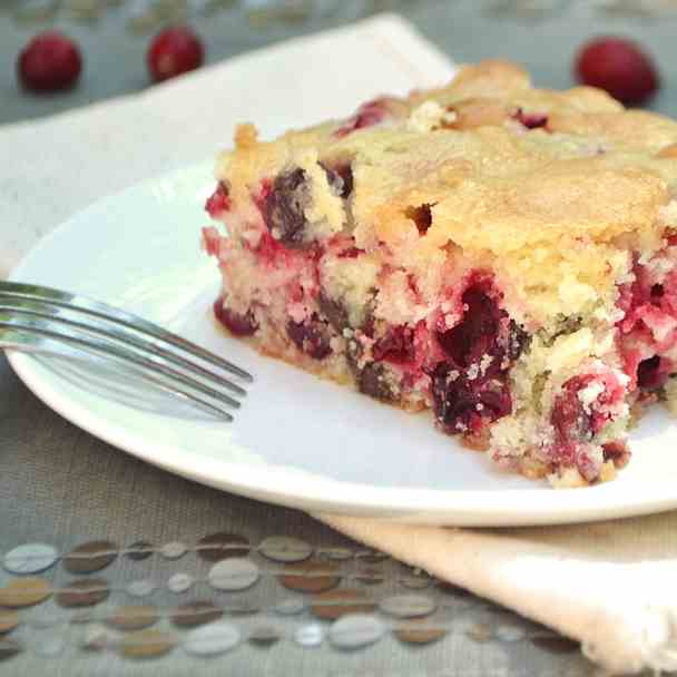 Cranberry Chocolate Chip Cake