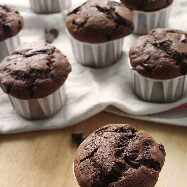 Chocolate Chocolate Chip Muffins