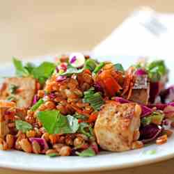 Spicy Tofu and Spelt Berries