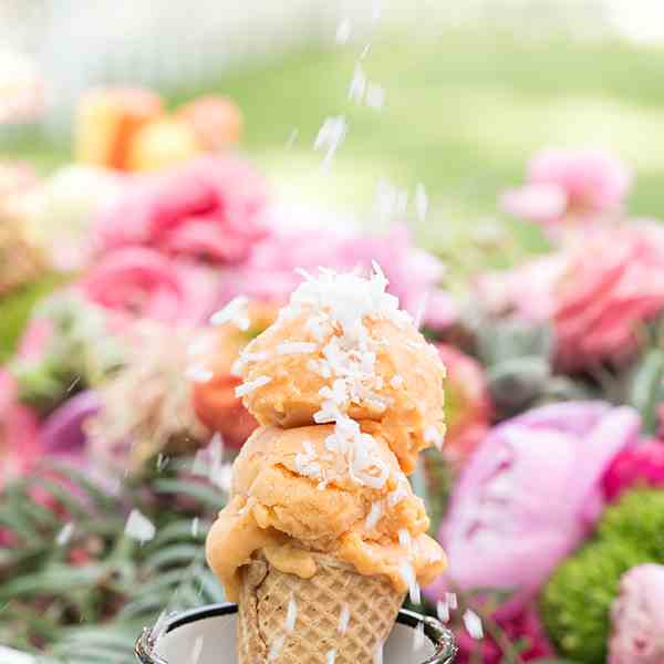 Papaya and Banana Coconut Sorbet