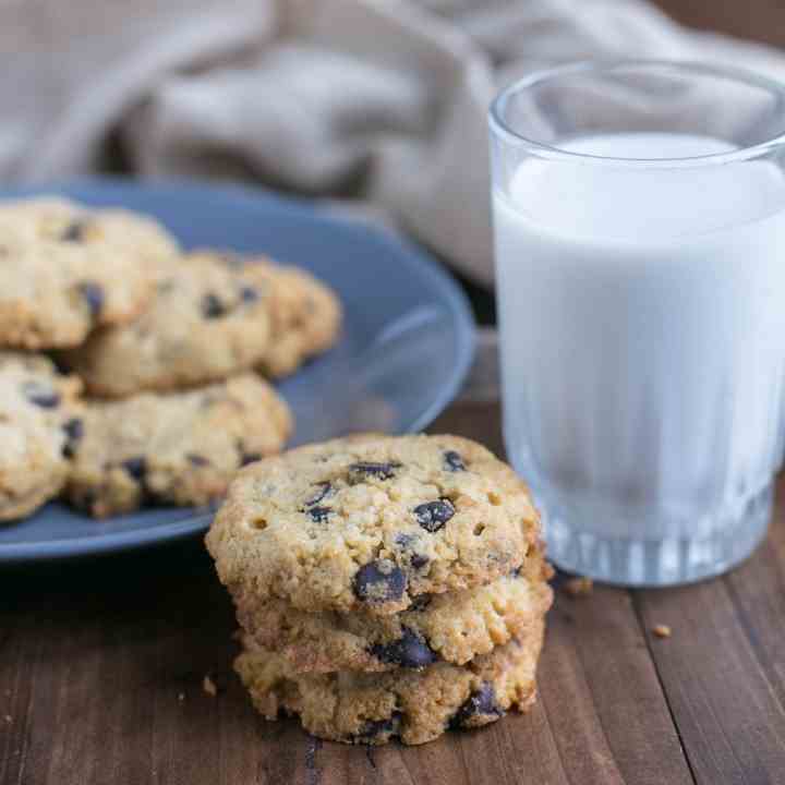 Coconut Flour Chocolate Chip Cookies