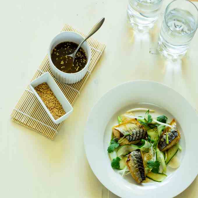 Warm Mackerel salad with cucumber and hois