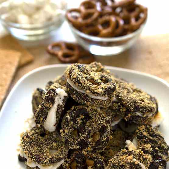 Dark Chocolate S'more Pretzels 