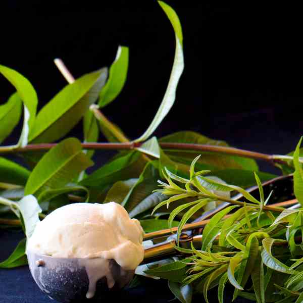 Verbena ice cream