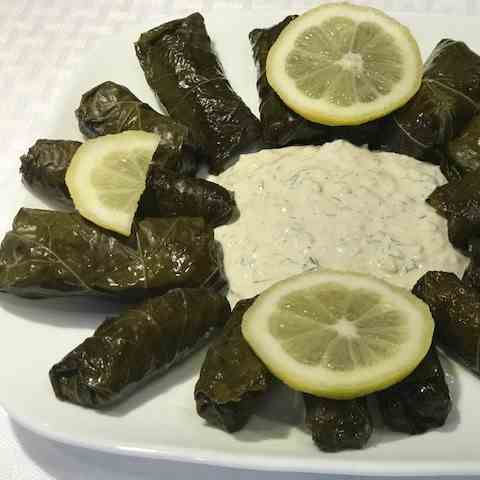 Stuffed Grape Leaves - Tzatziki Sauce