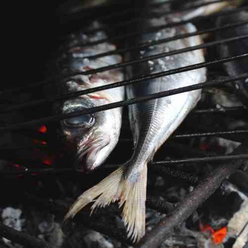 Grilled carapau