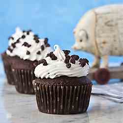 Chocolate Chocolate Chip Cupcakes