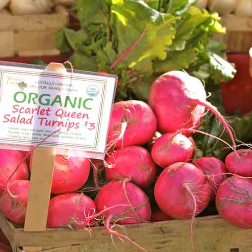 A sunny morning at the farmer's market