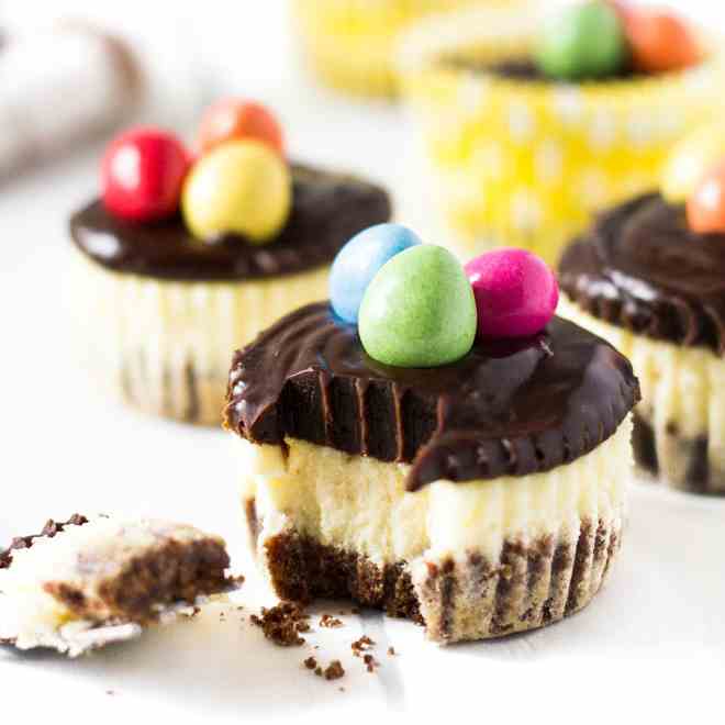 Mini Chocolate Easter Cheesecakes