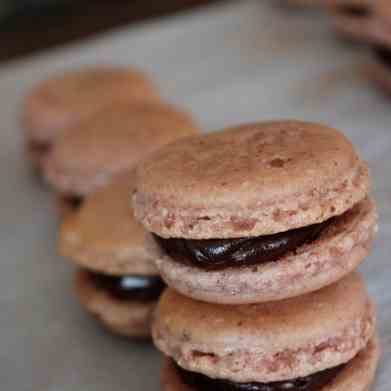 Strawberry Macaron