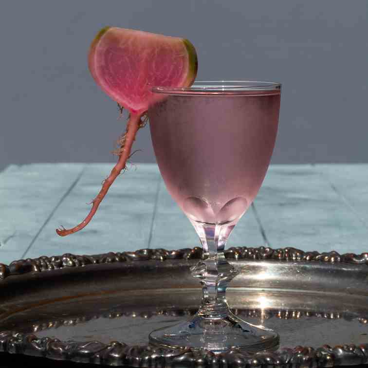 Fermented watermelon radish martini