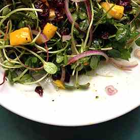 3 Sprout Salad