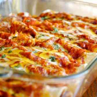 Shredded Chicken Enchiladas