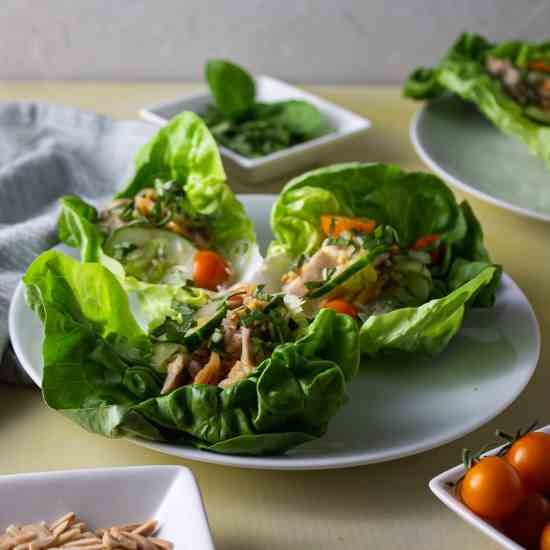 Asiatic Chicken Lettuce Wraps