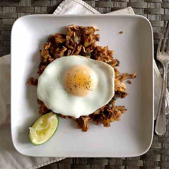 Southwestern Pulled Chicken and Chile Hash